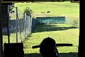 IMG_7596
